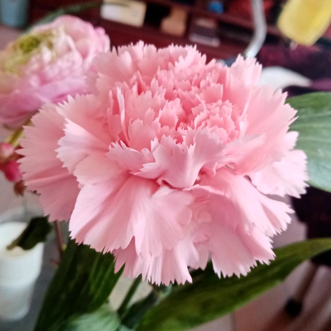 真好懂