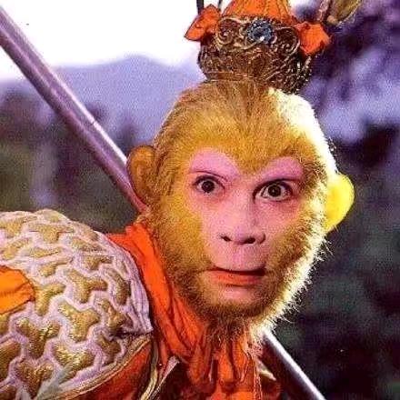 🌹单🌹身🌹孙🌹悟🌹空🌹