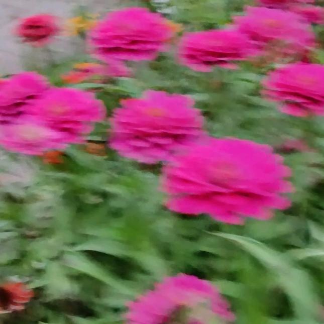 覃华兵