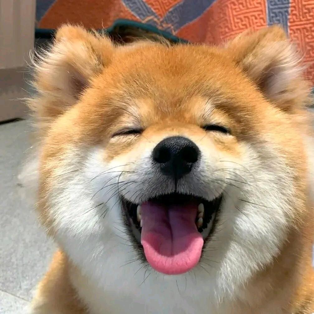 草莓牛轧糖🧣