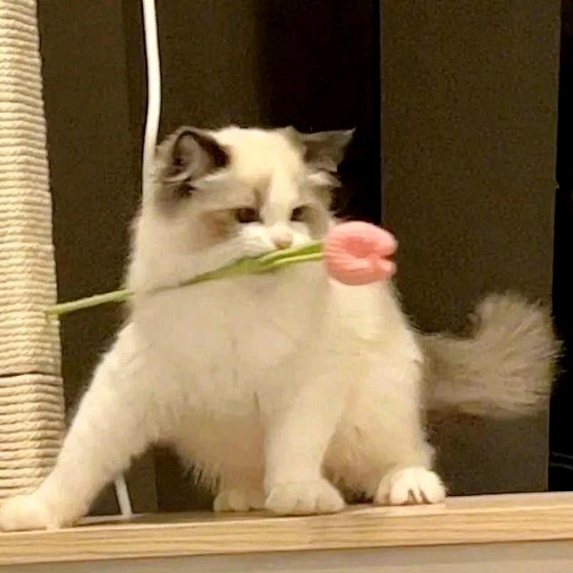 我是个人