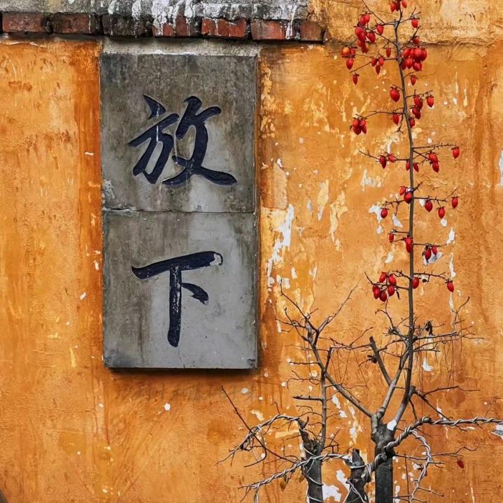 风 继 续 吹
