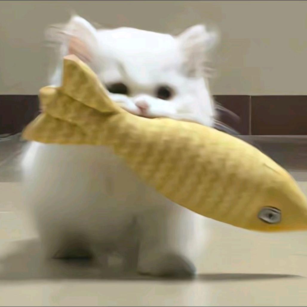 渡