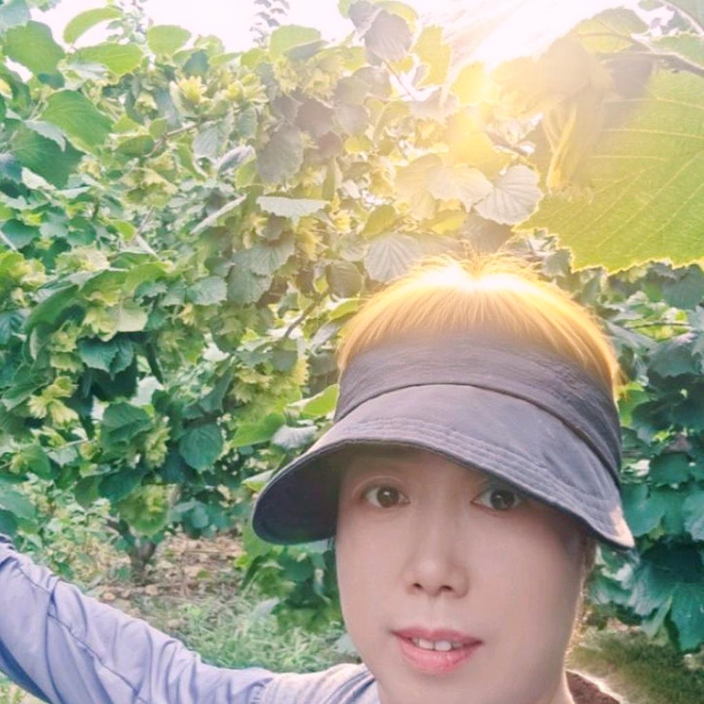 青冈榛子园玲姐