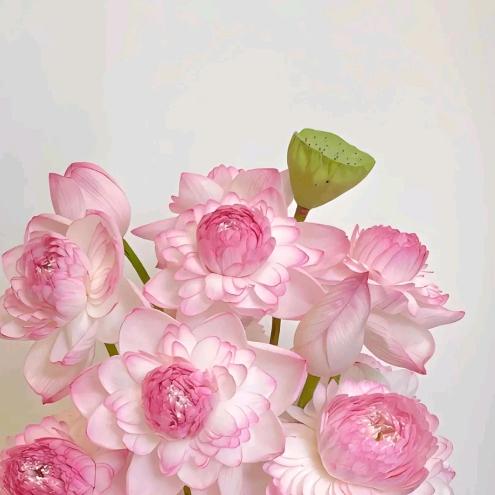 重生之我在卖火锅食材