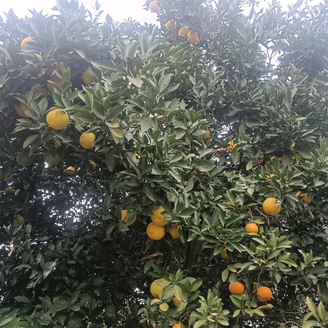 命中注定