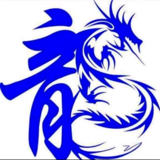 跑车人