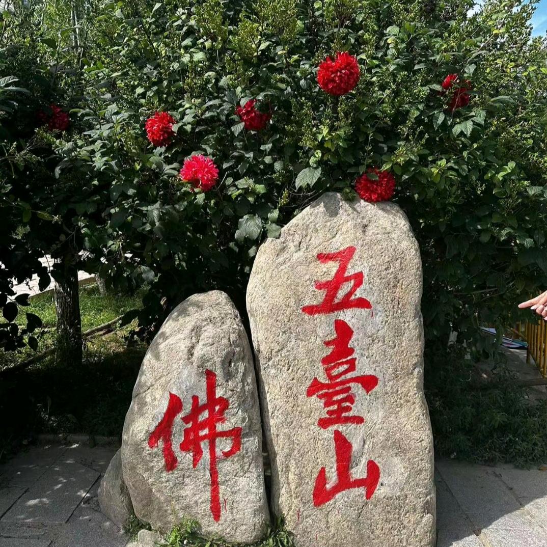 东山再起