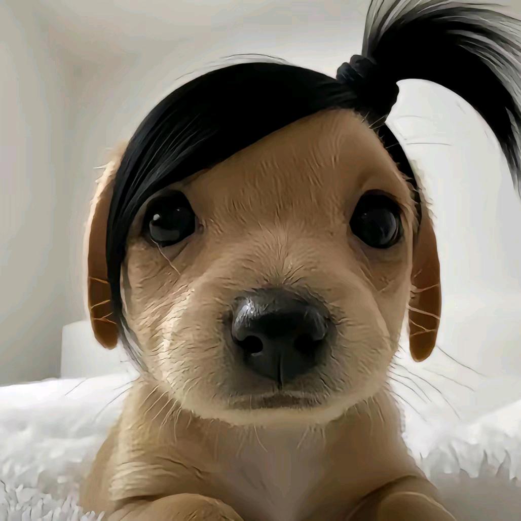 ふ余生