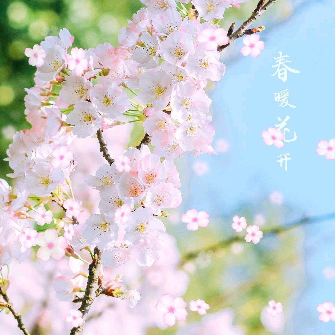 禾丰室内外装修