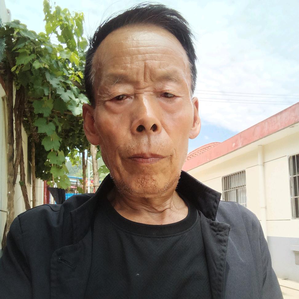 秦人秦