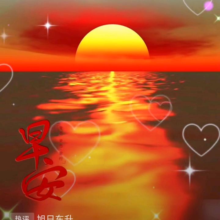 天天数码