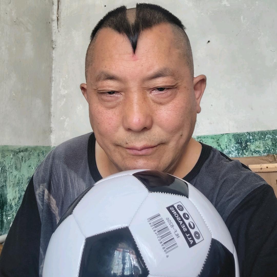贵阳飞燕小矮哥