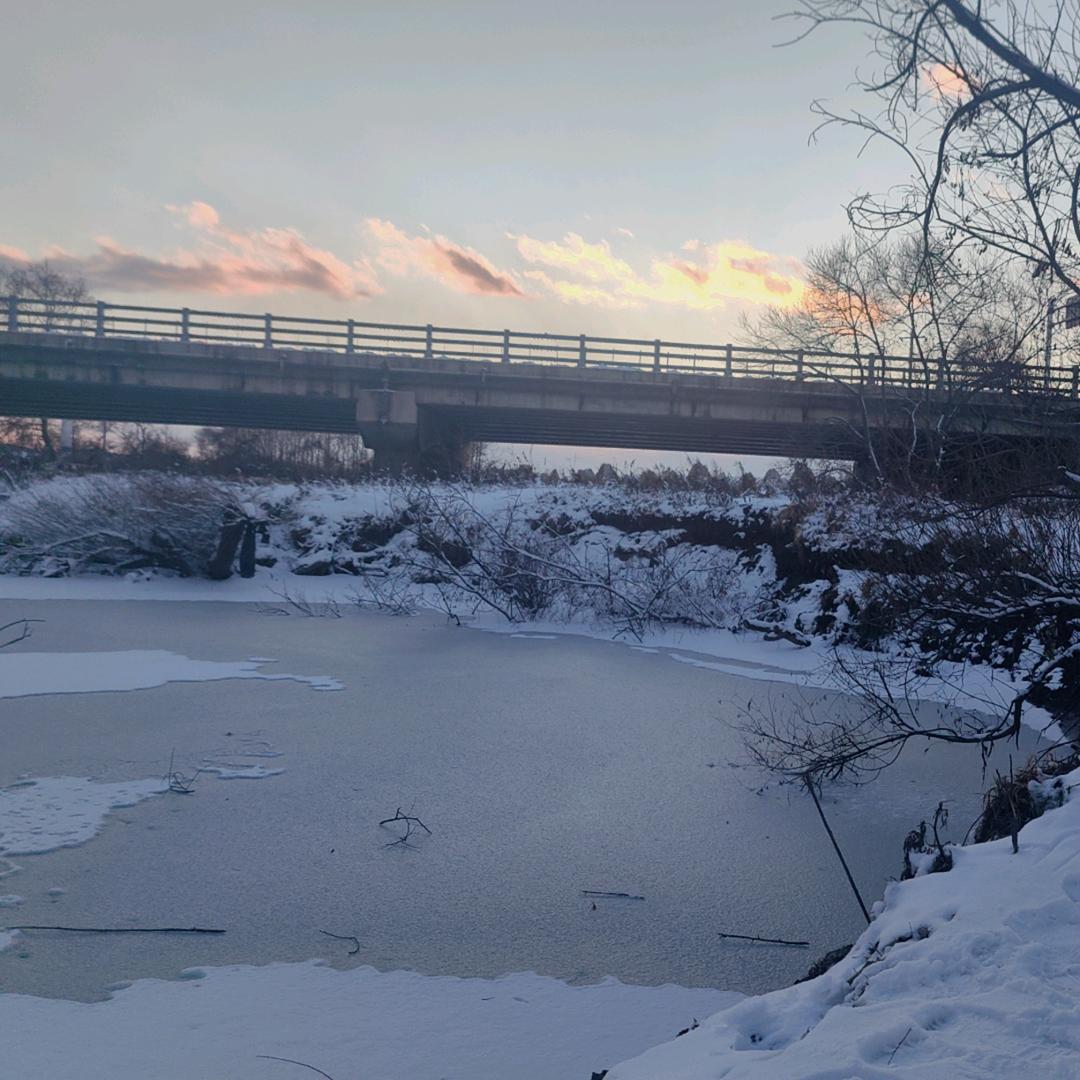 一起去露营🏕️