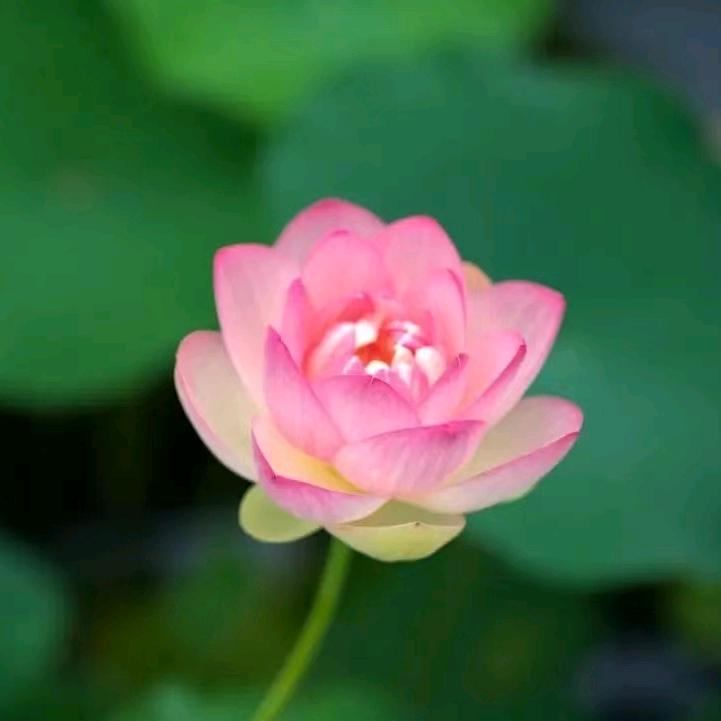 心勤