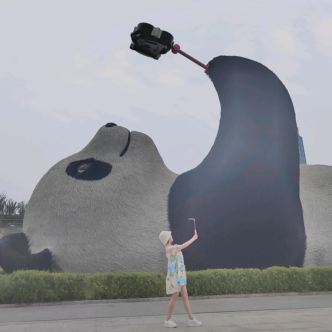 乐观☀️小太阳