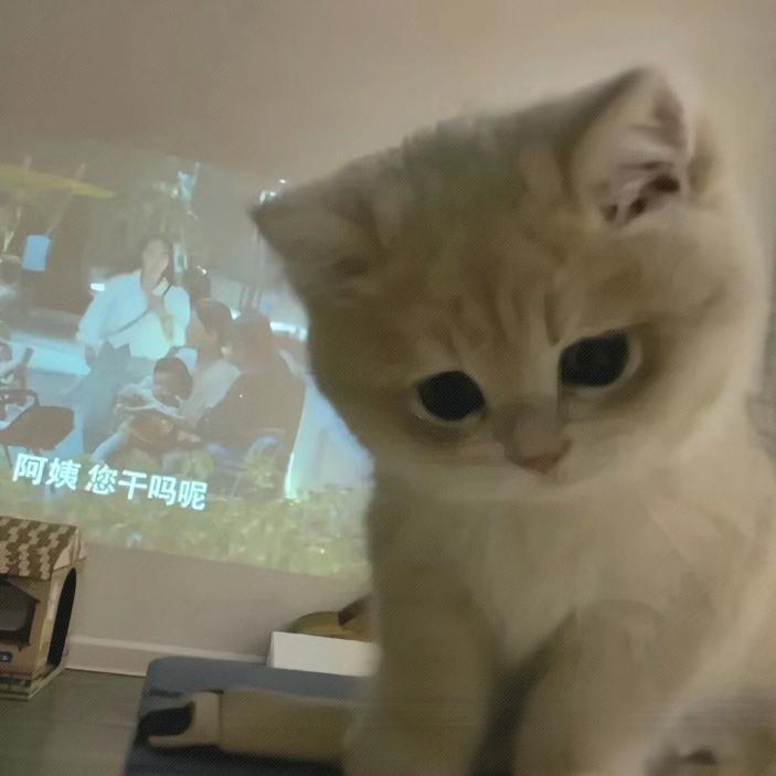 初見.