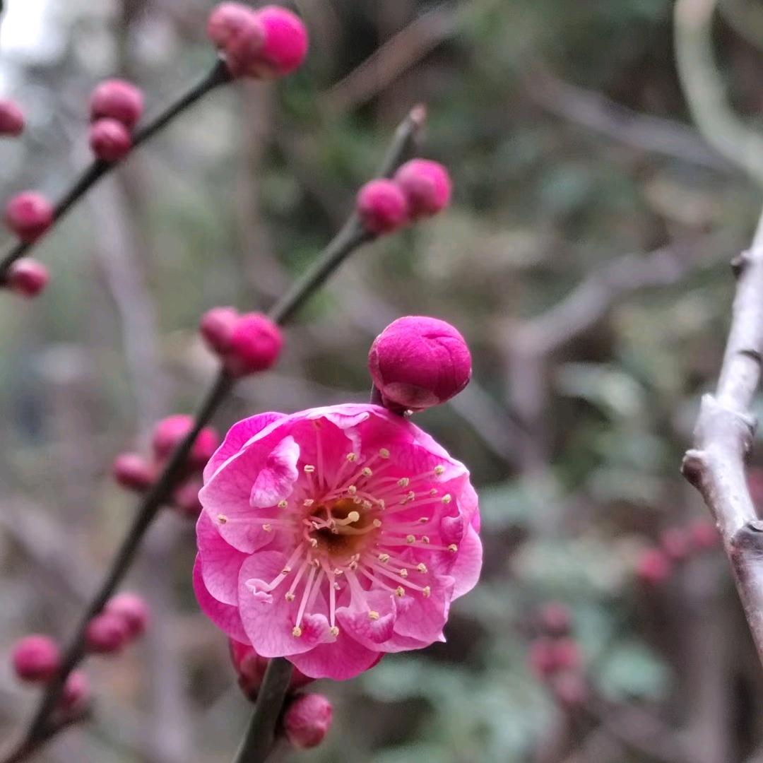 为你🎏💕停刘💞🎏