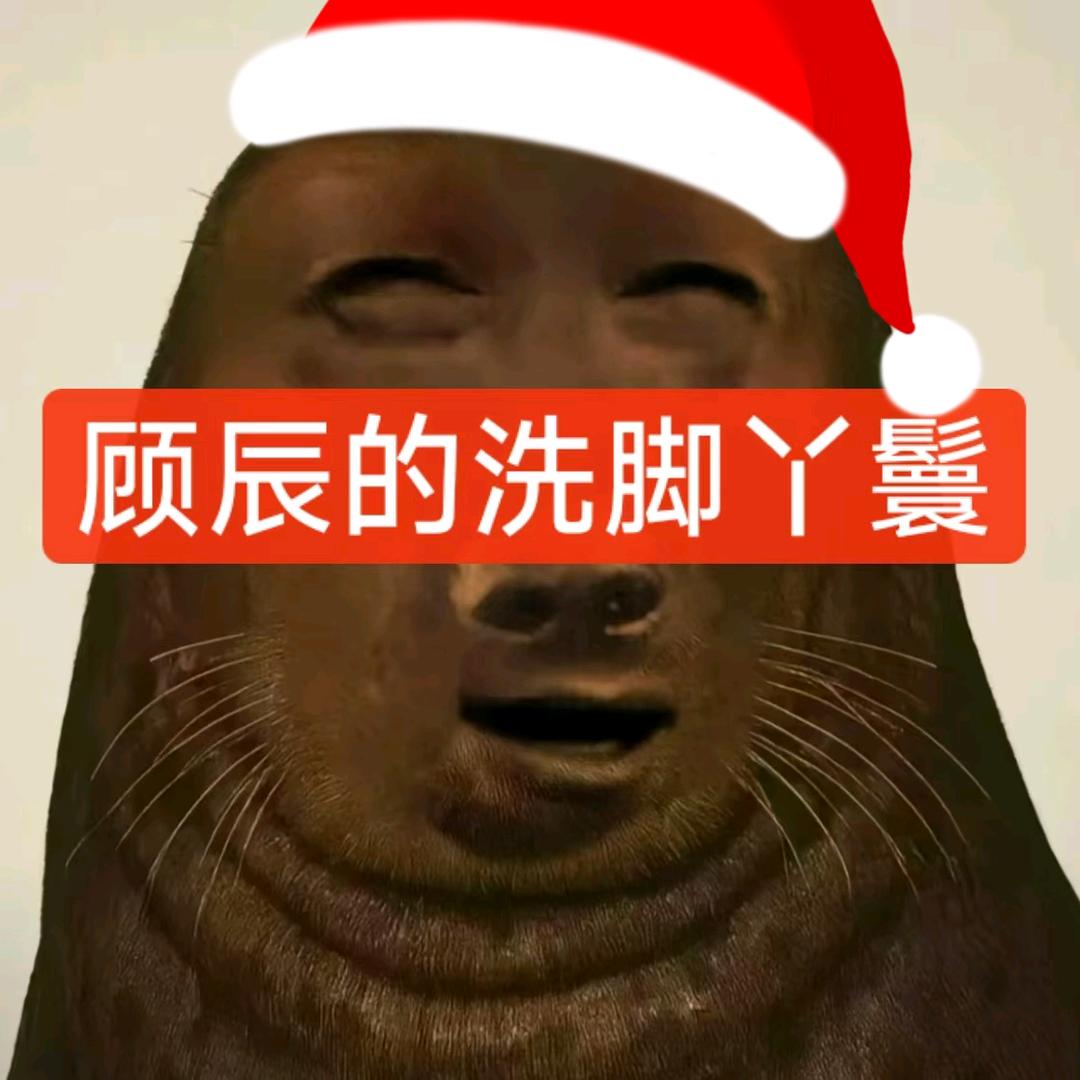 渣渣𝄞ᶜʸ