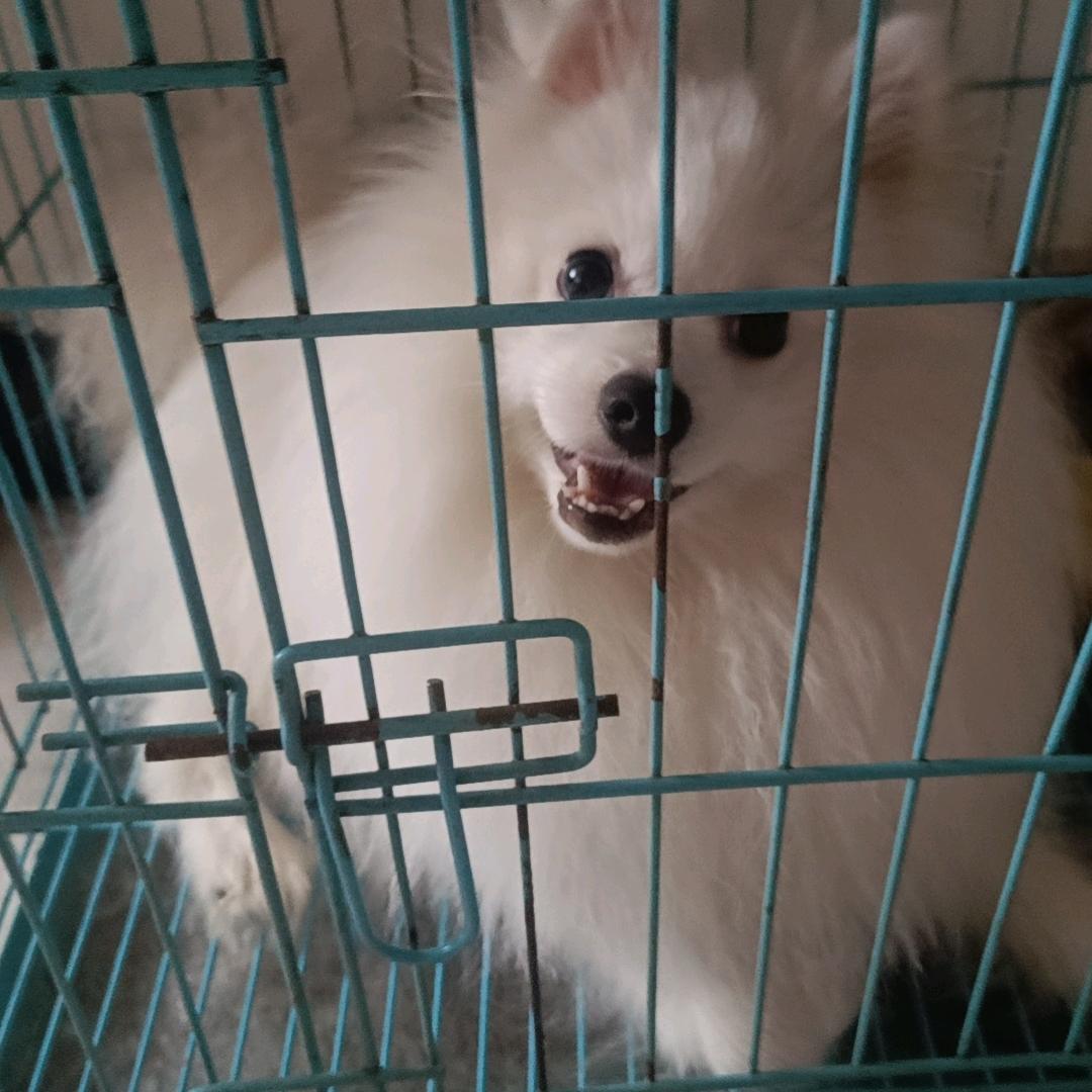 快乐，小妮。