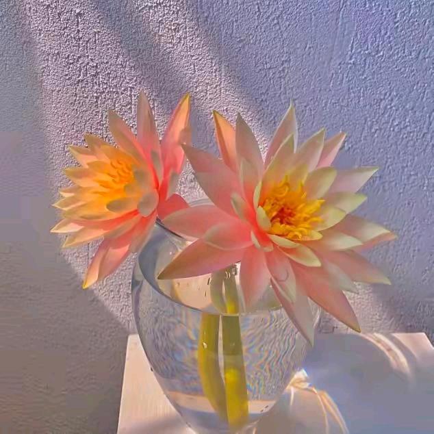 💞姐的࿐世界ღ᭄你不懂᭄?