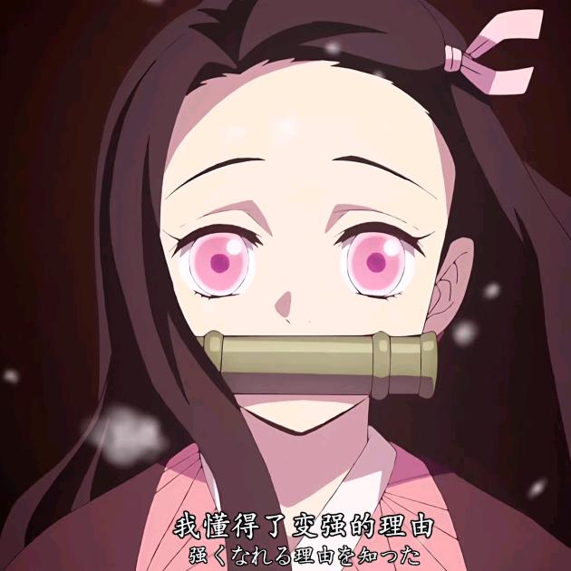 沫沫来啦