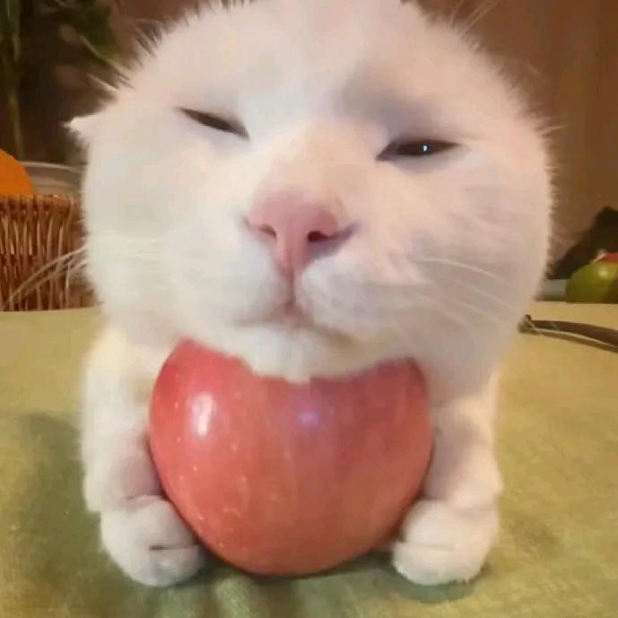 小薰ʚ ɞ