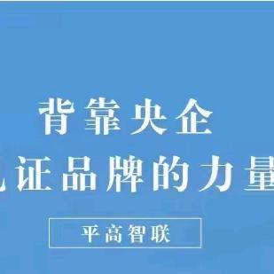 平高智联小吕