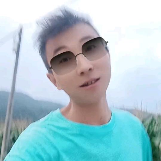 牛飘飘果苗绿化