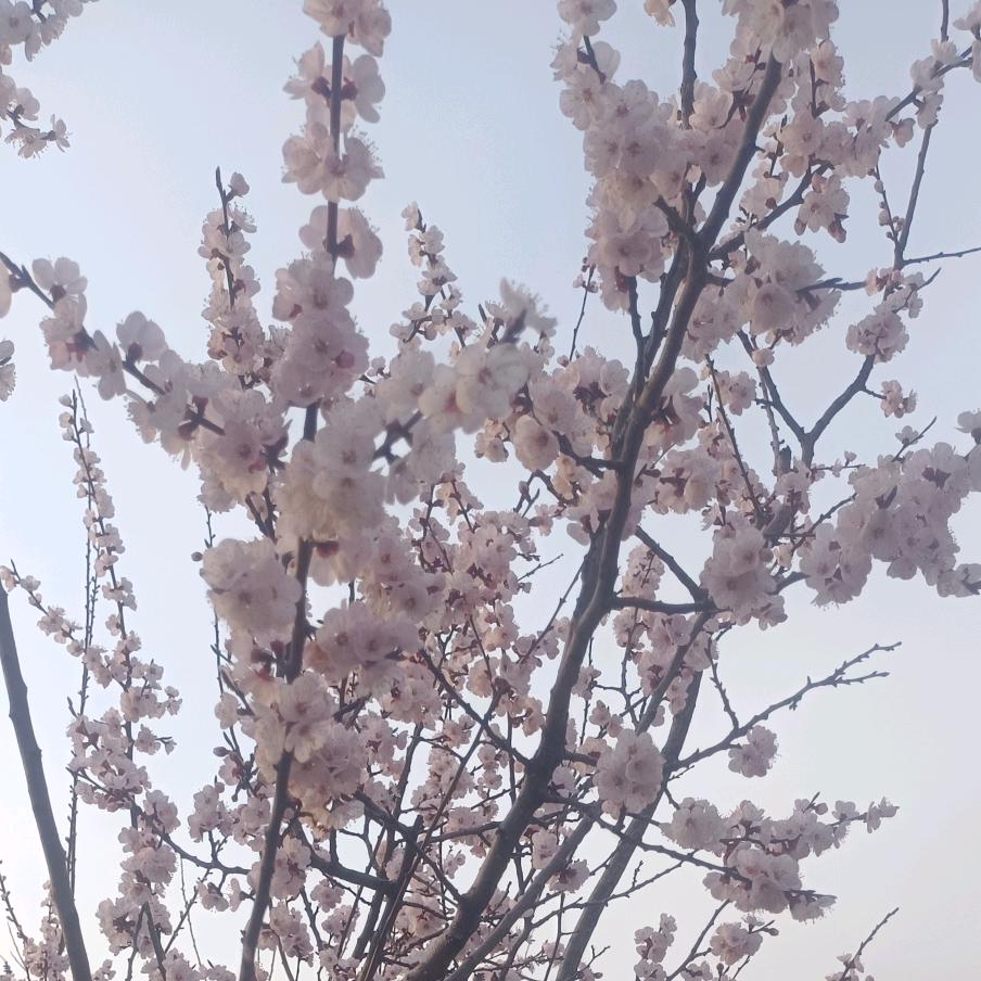 @一个开心的老头