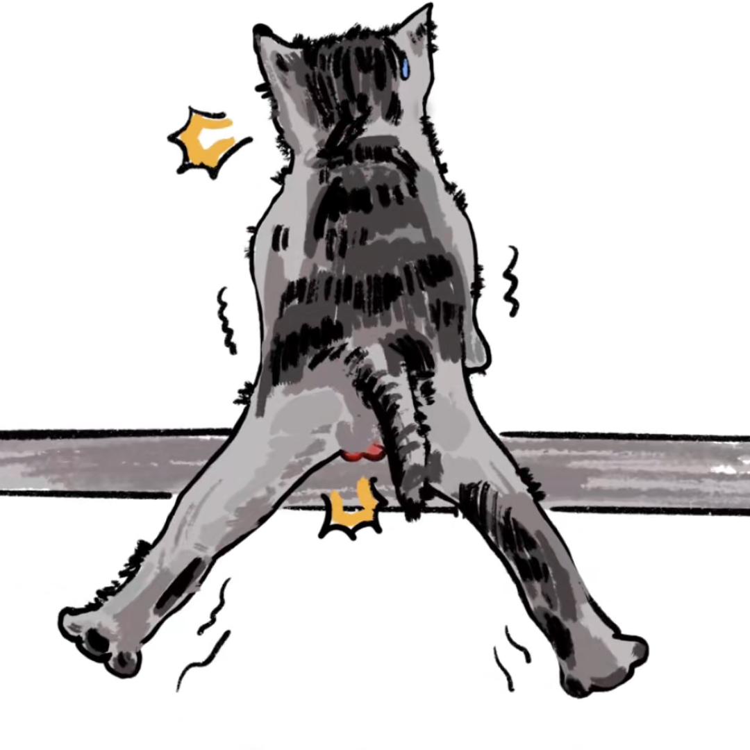 小怪丶