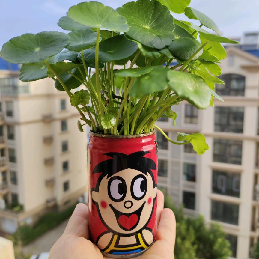 皓林妈