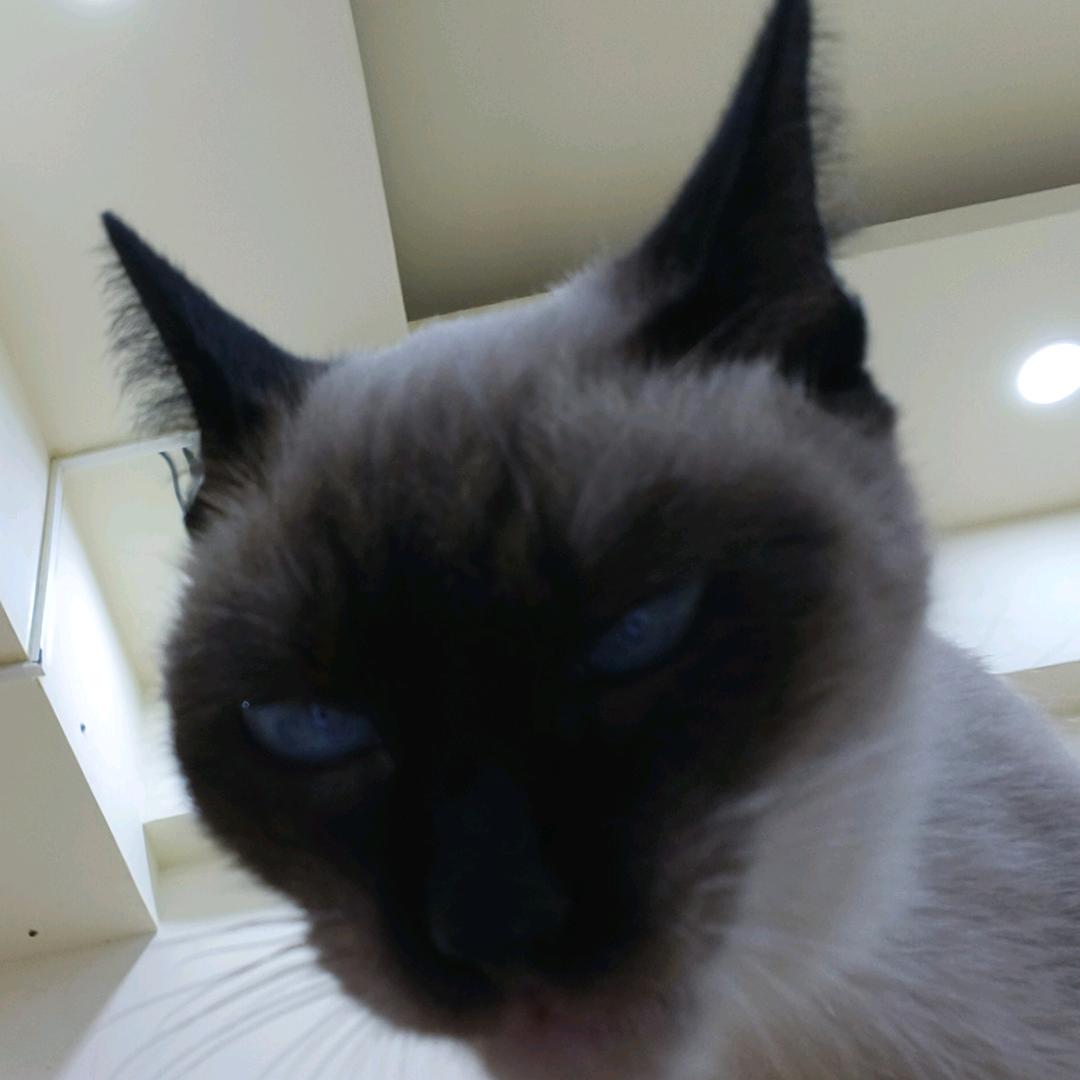 嘚噫达🏸（已经登船）