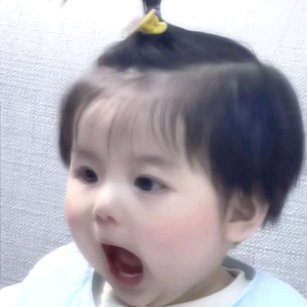 菠萝蜜II
