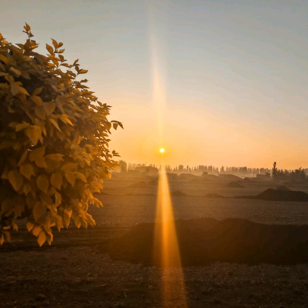 青春荒唐我不负你