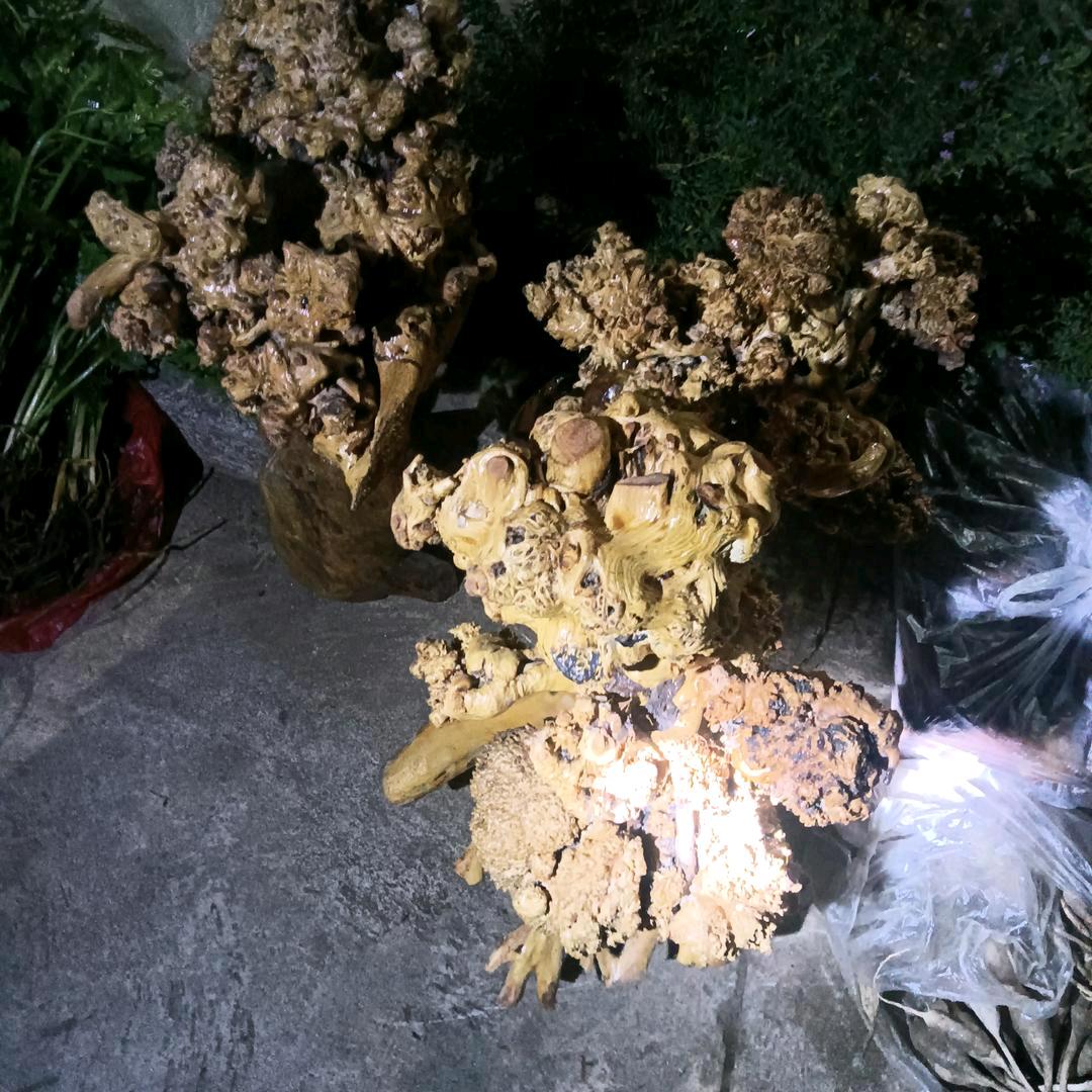 ，单亲爸爸