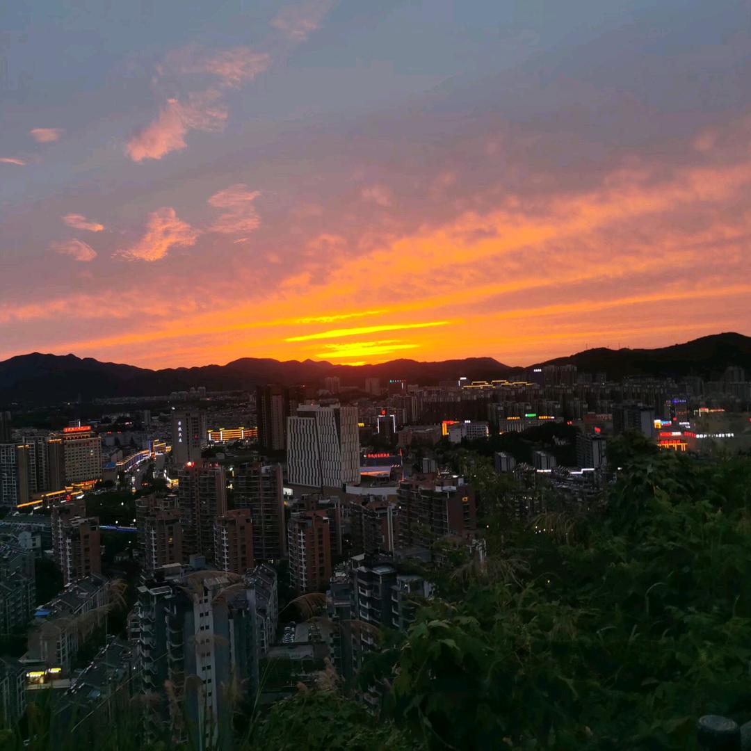 罗尼感