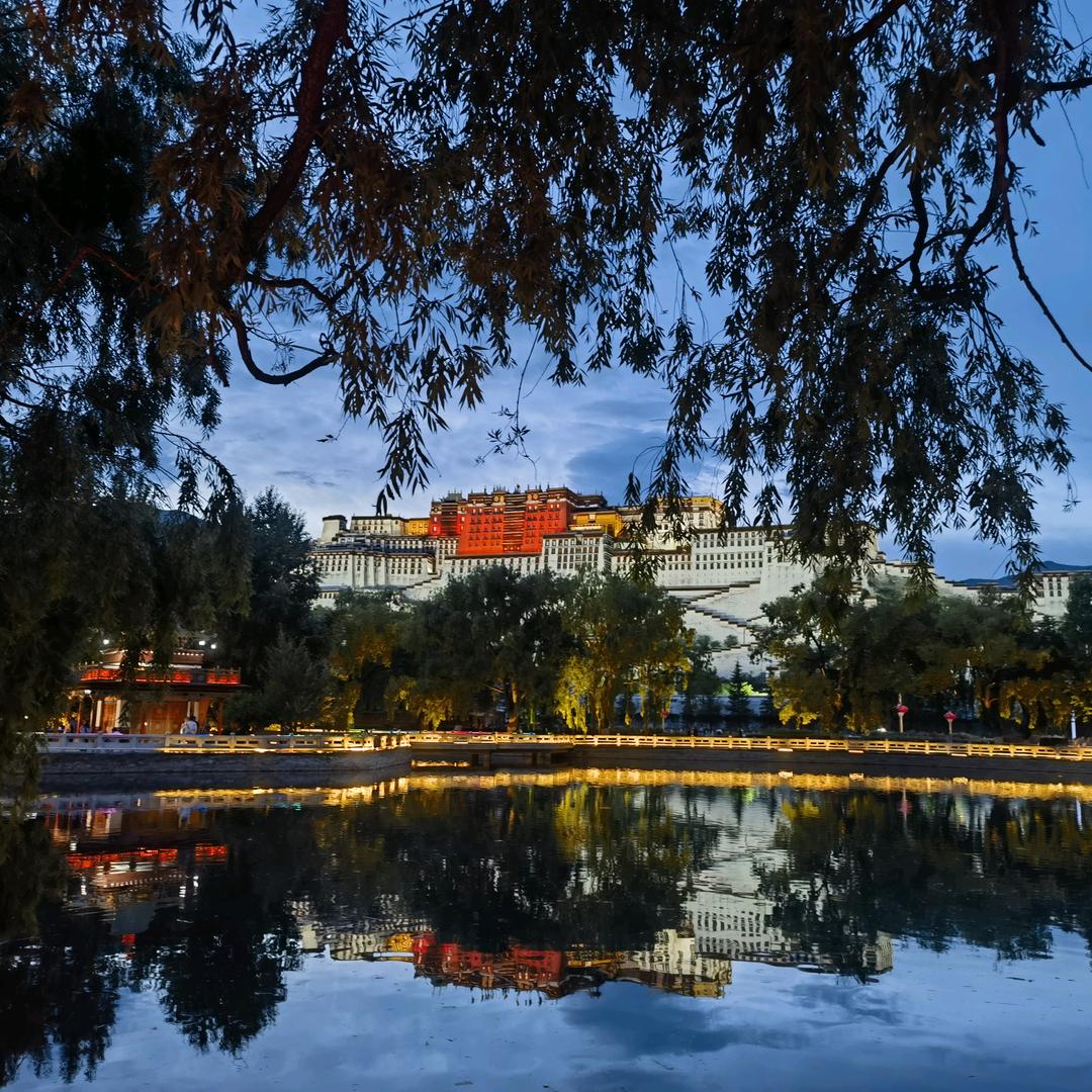 阿丽