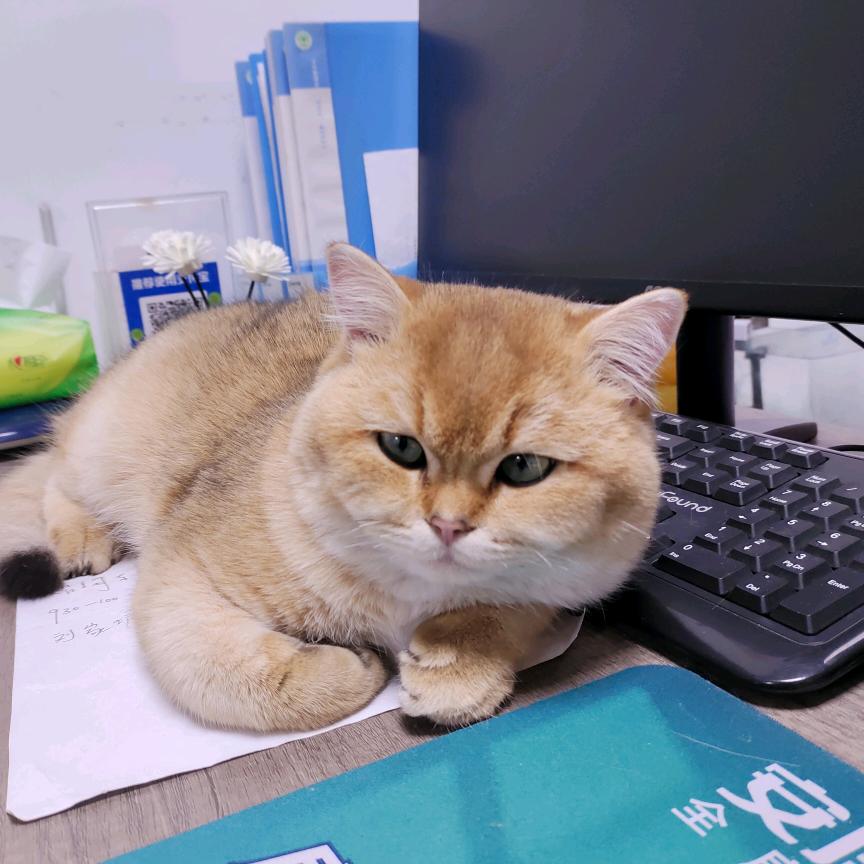金坛房产小孟