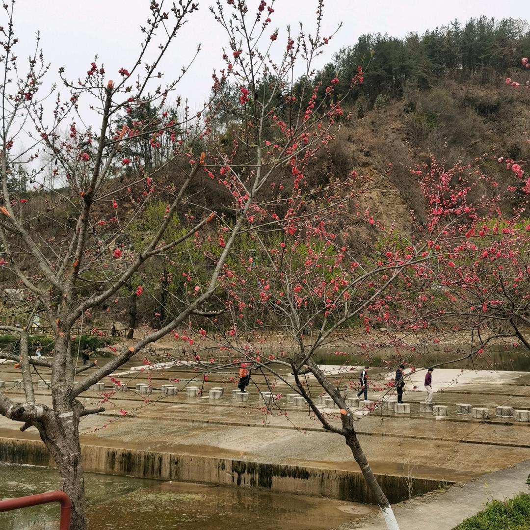许七安