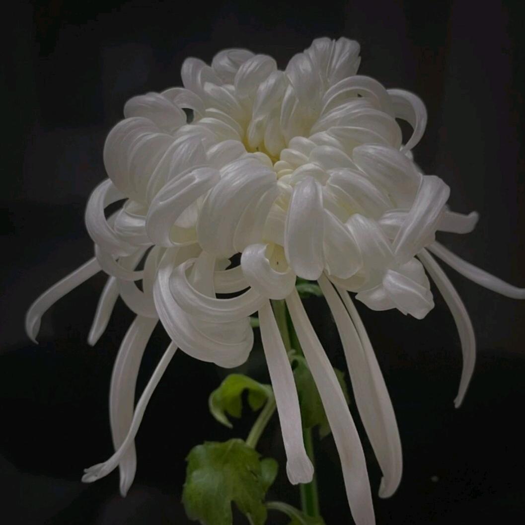 《健康是福》