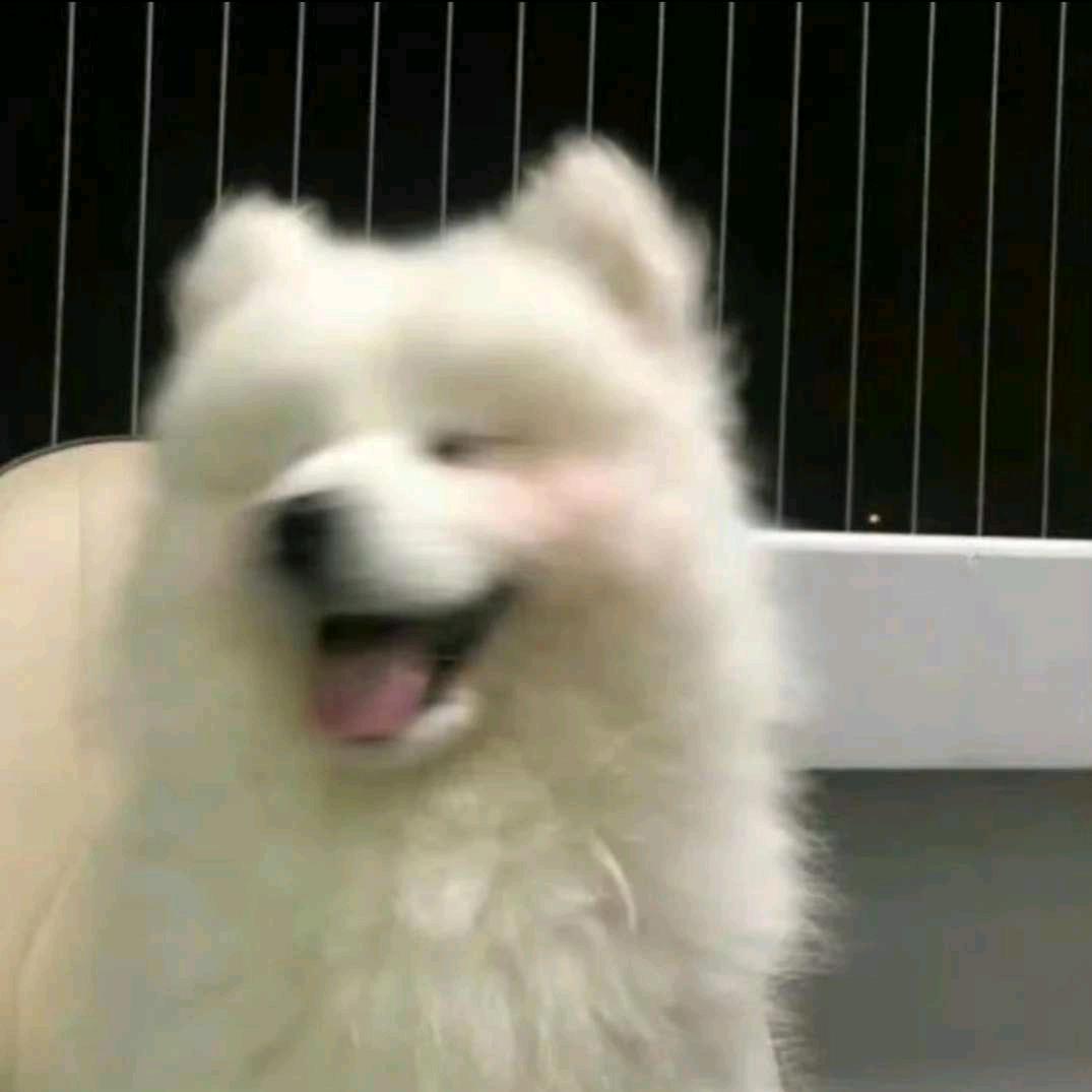 百宝袋