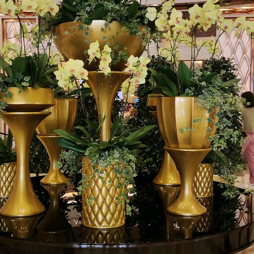 人生不易，🌺💐