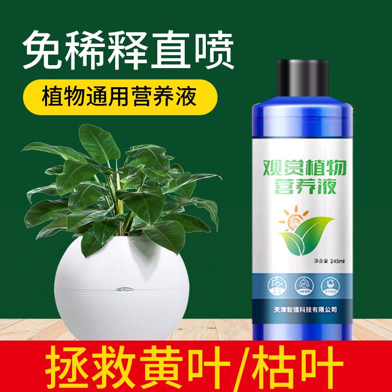 绿色广角