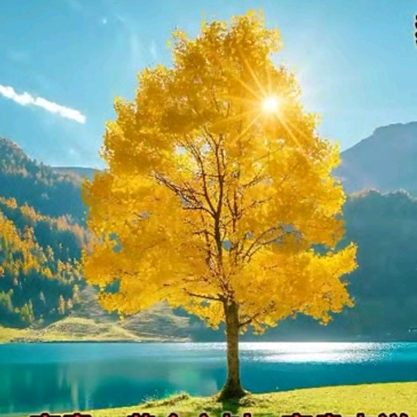 重新(≖‿≖)✧未来