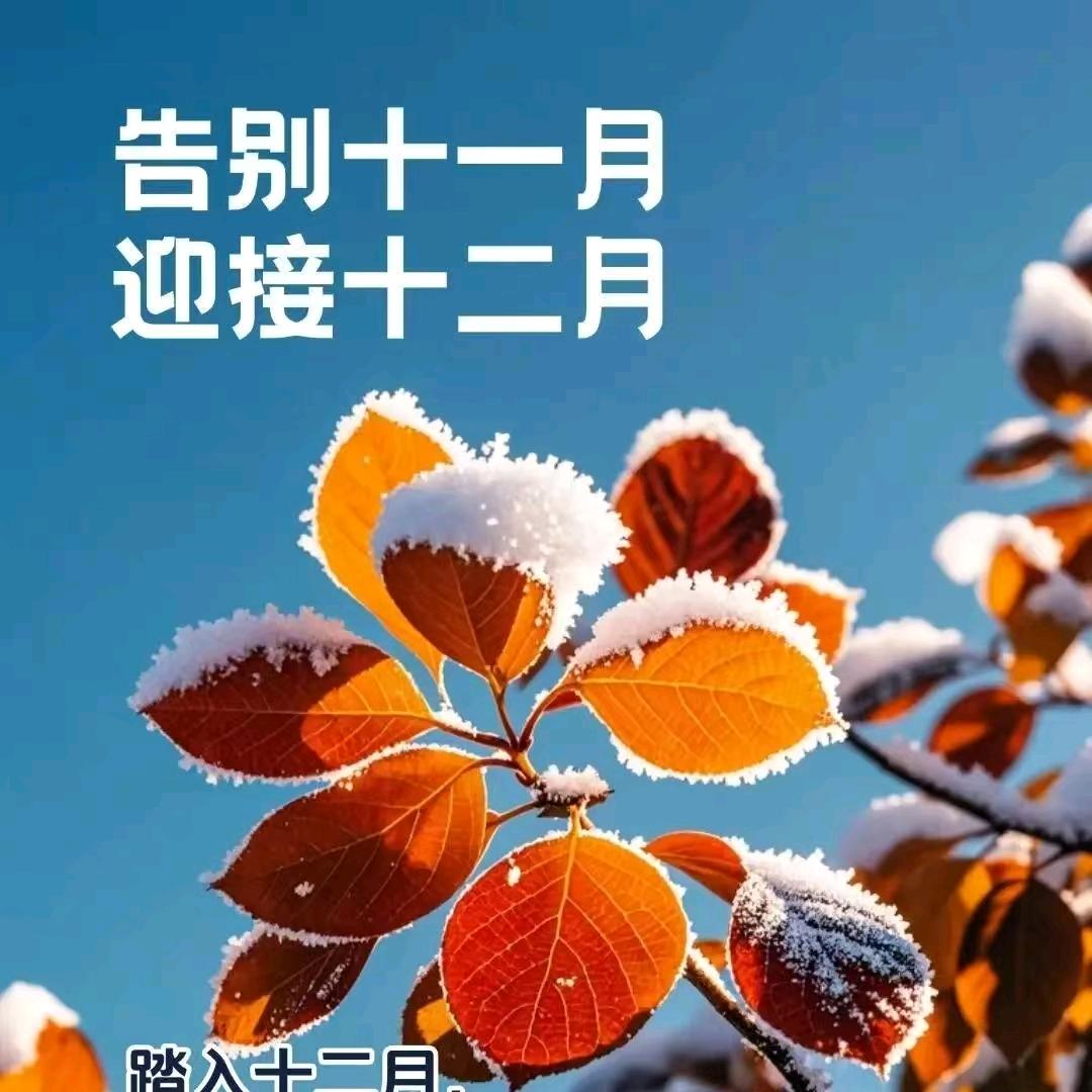 彩叶