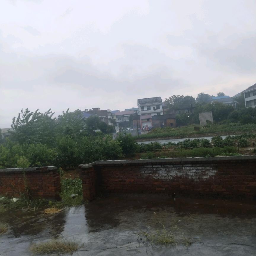 无聊的一天