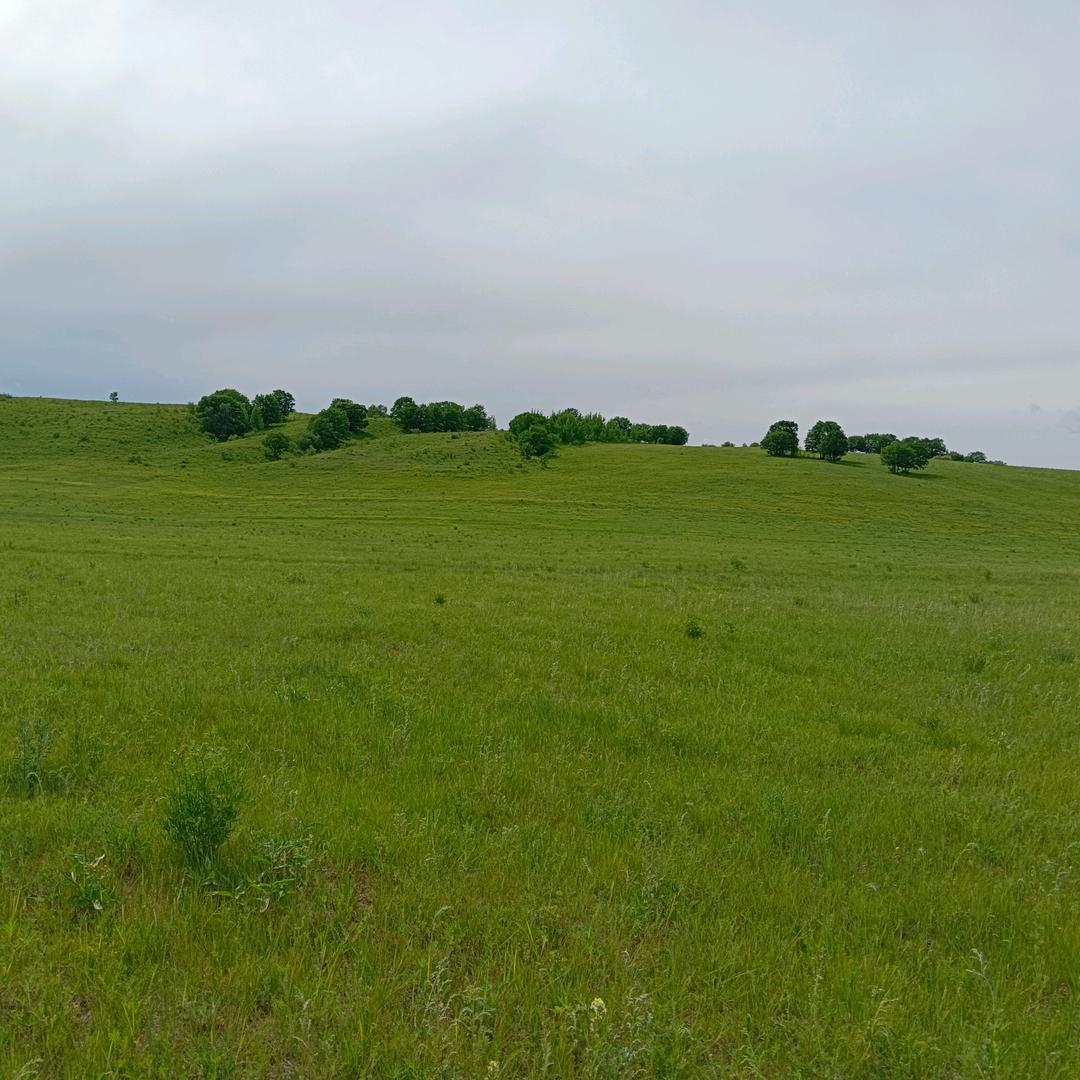 高唐县旅行社一一玉