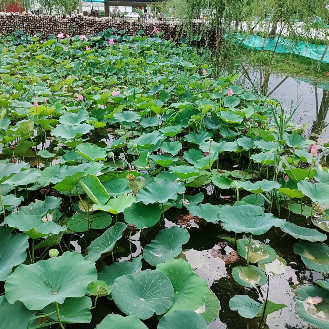 L 言而有信