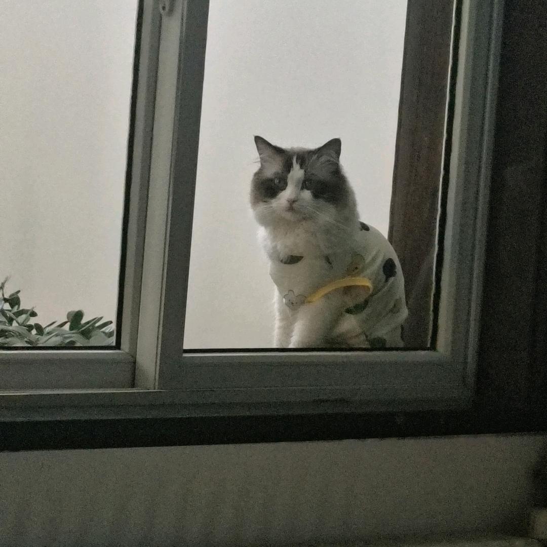 陈蒙厚爱
